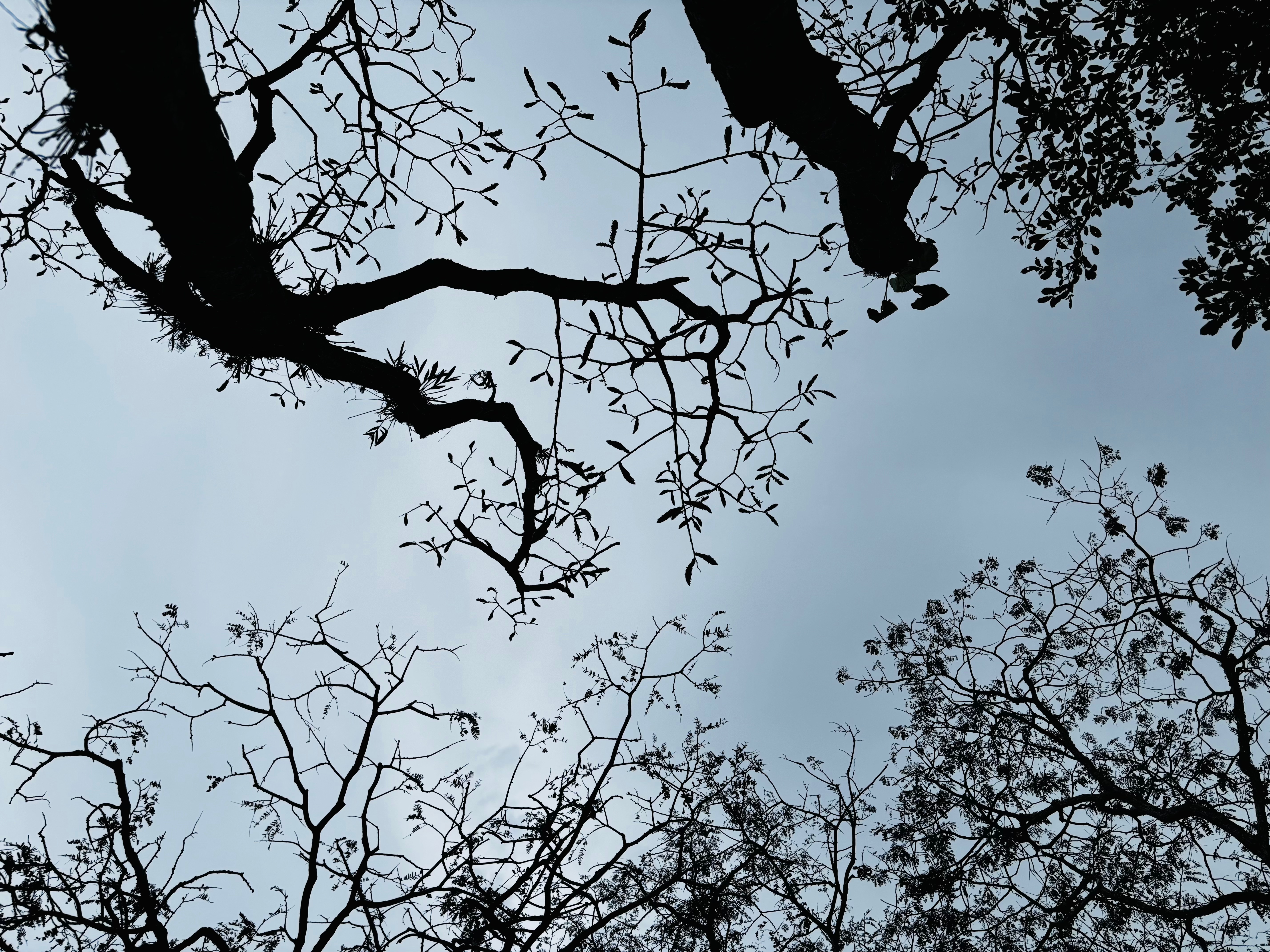 Lo que no quieres&nbsp;ver